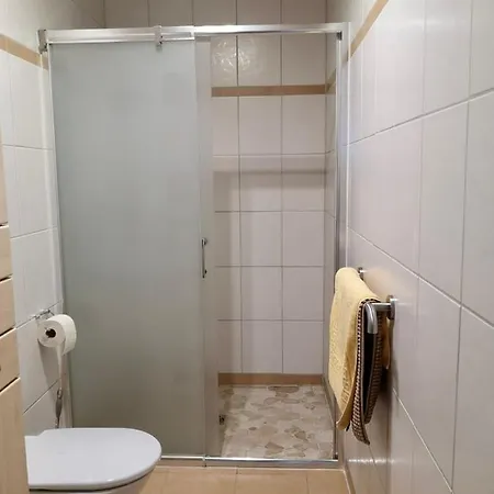 Bergblick Appartement Niedernsill